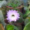 2011.06