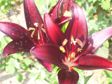 2011.06