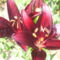 2011.06