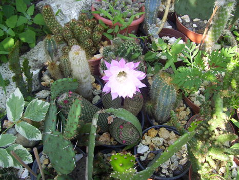 2011.06