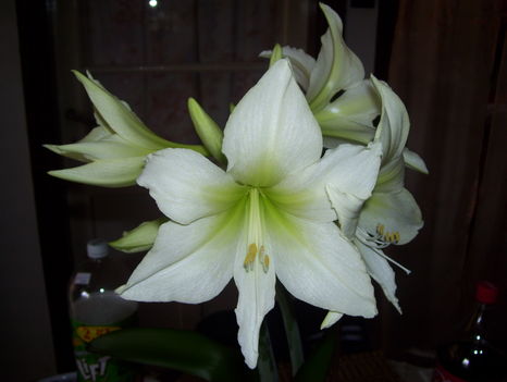 2011.06