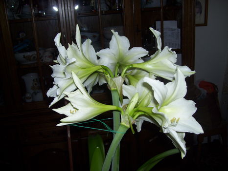 2011.06