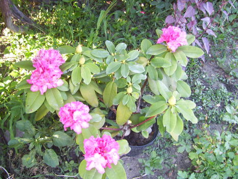 2011.06