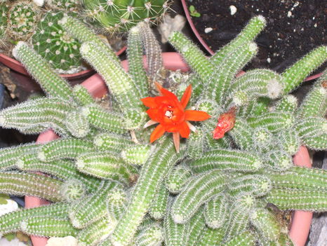 2011. 07