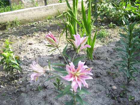 2011. 07