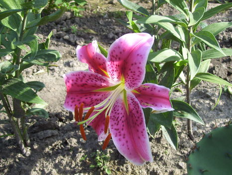 2011. 07