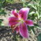 2011. 07