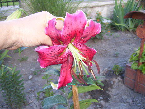 2011. 07
