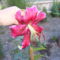 2011. 07