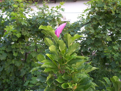 2011. 07