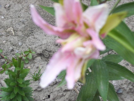 2011. 08