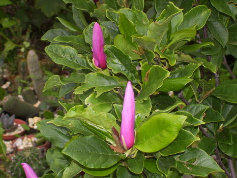 2011. 08