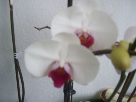 2011. 08