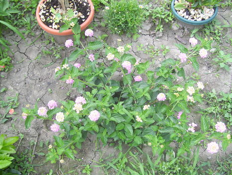 2011. 08