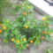 2011. 08