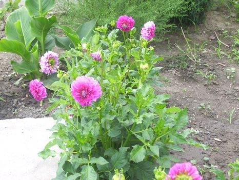 2011. 08