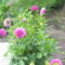 2011. 08
