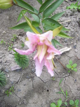 2011. 08