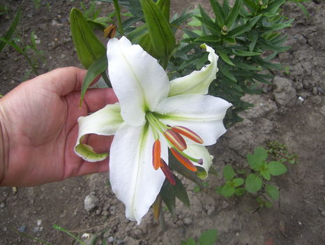 2011. 08