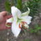 2011. 08