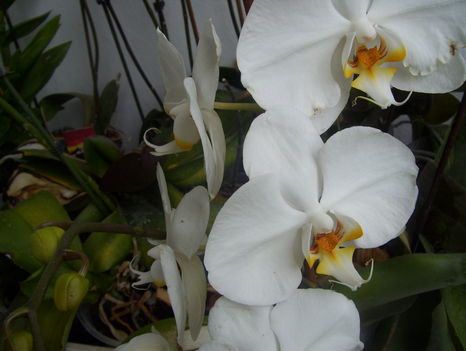 2011. 08