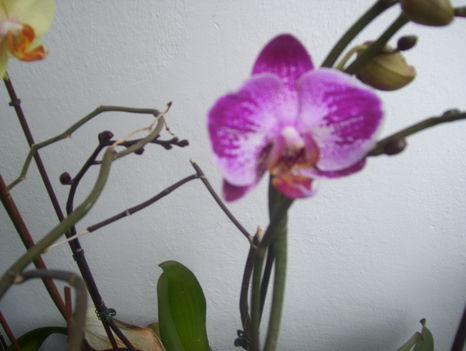 2011. 08