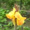 2011. 08