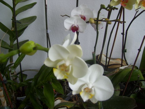 2011. 08