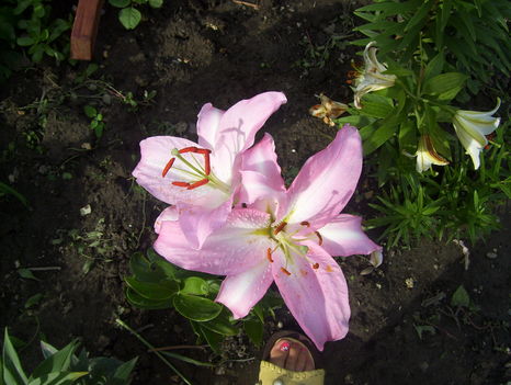 2011. 08