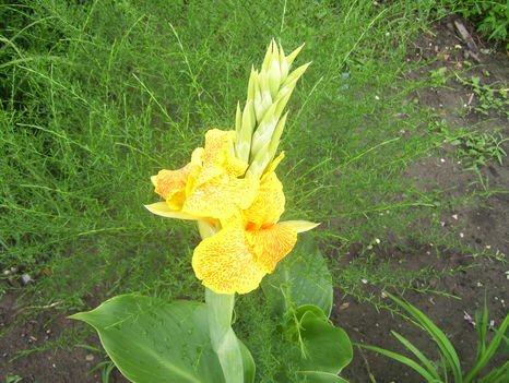 2011. 08