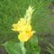 2011. 08