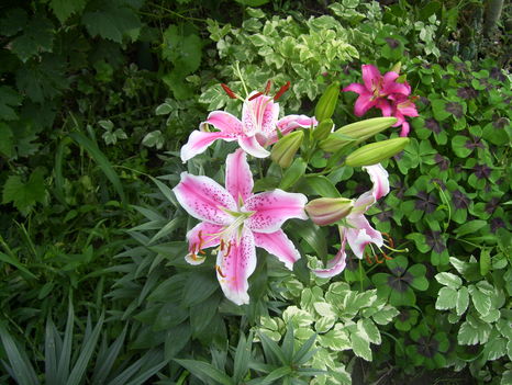 2011. 08