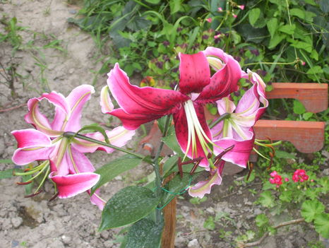 2011. 08