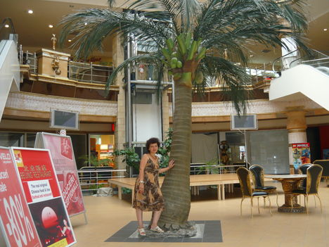 P1050317