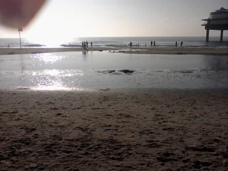 Photo-0016