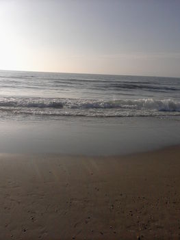 Photo-0020
