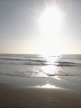 Photo-0021