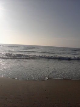 Photo-0022