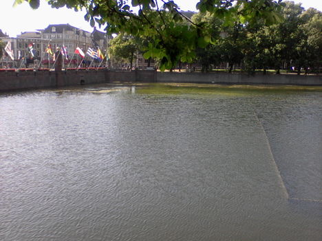 Photo-0027 (1)