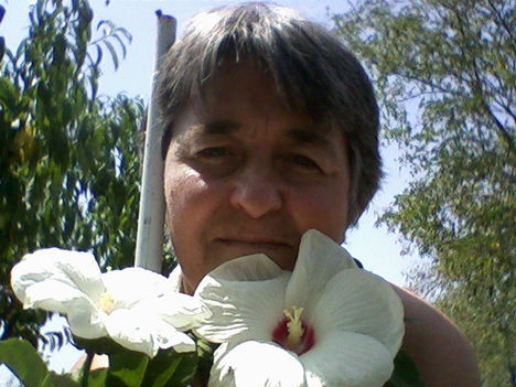 2-szál fehér hibiszkusz