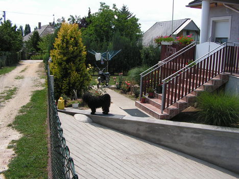 A kunyhóm1