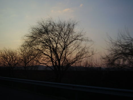 csodálatos természet 11