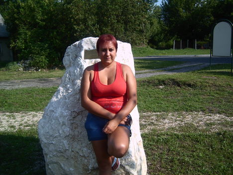 LPIC8061
