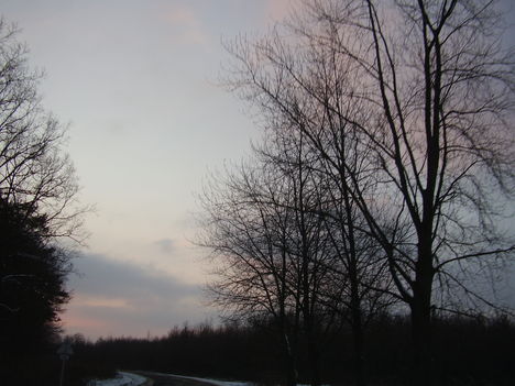 P1240561
