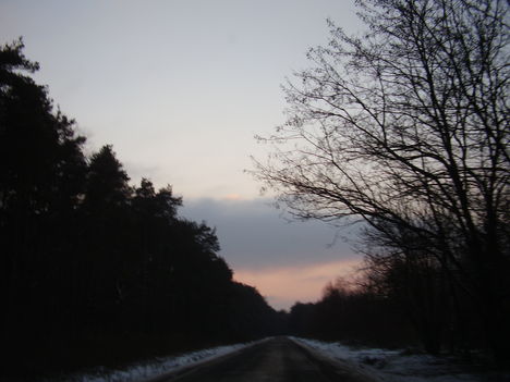 P1240562