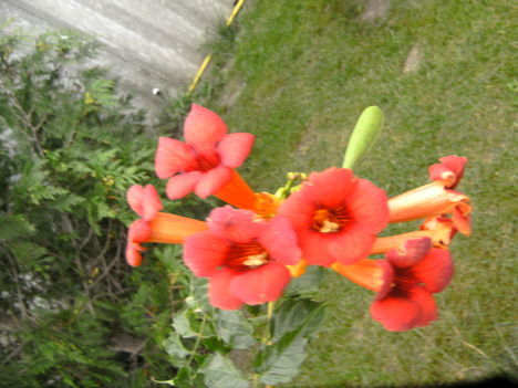 PICT5324