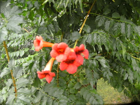 PICT5325