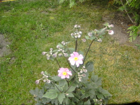 PICT5326