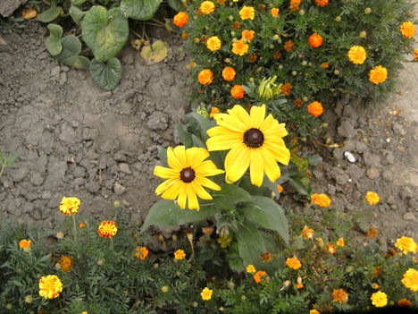 PICT5329