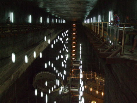3350843976_Picture 029
